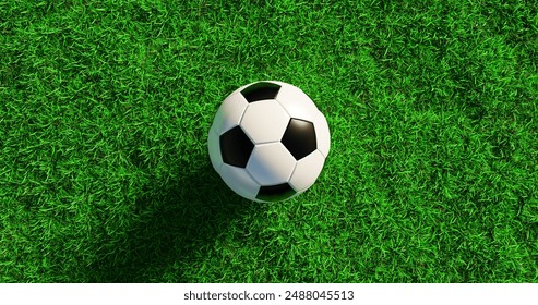 A black and white soccer ball lies on a green lawn, a concept for the European Football Cup final, 3D rendering - Powered by Shutterstock