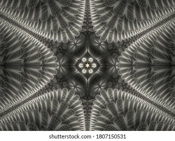 Black And White Symmetrical Feathered Flame Fractal With Soft Feathers Around A Central Focal Point