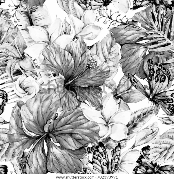 白黒の水彩ビンテージ熱帯の花のシームレスな模様 エキゾチックな花柄 プルメリア 中国のハイビスカス 小枝 蝶 葉 白い背景に植物のクラシックイラスト のイラスト素材