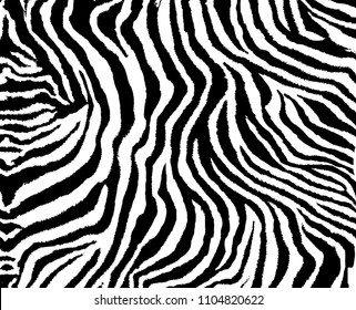 Black and white zebra pattern, African animal print, wallpaper, textile print