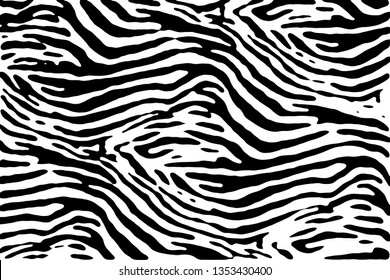 Black and white zebra pattern texture
