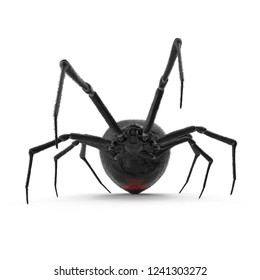 Black Widow Spider 3D Illustration Isolated On White Background