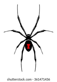 Black Widow Spider.Isolated On White.