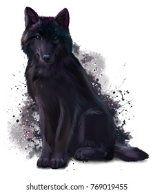 Black Wolf Watercolor Painting