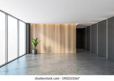 Black And Wooden Business Hall, Grey Floor And Wooden Wall. Empty Reception Room With Windows And Plant, 3D Rendering No People