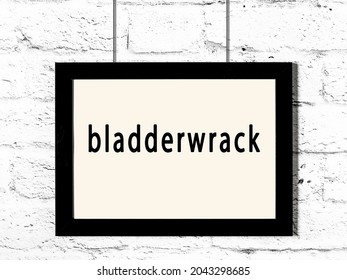 Black wooden frame with inscription bladderwrack hanging on white brick wall 