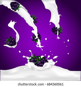 Blackberries Falling Into The Milky Splash.  Illustration.