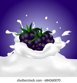 Blackberries Falling Into The Milky Splash.  Illustration.