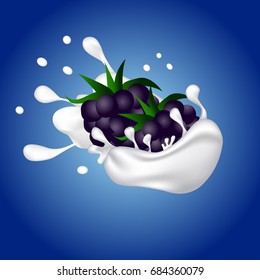 Blackberries Falling Into The Milky Splash.  Illustration.