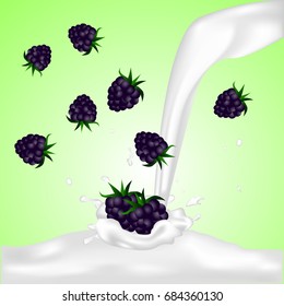 Blackberries Falling Into The Milky Splash.  Illustration.