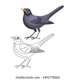 Featured image of post How To Draw A Blackbird Step By Step I chose the green one as i like step 4