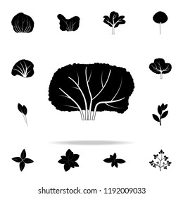 Blackcurrant Tree Icon. Plants Icons Universal Set For Web And Mobile