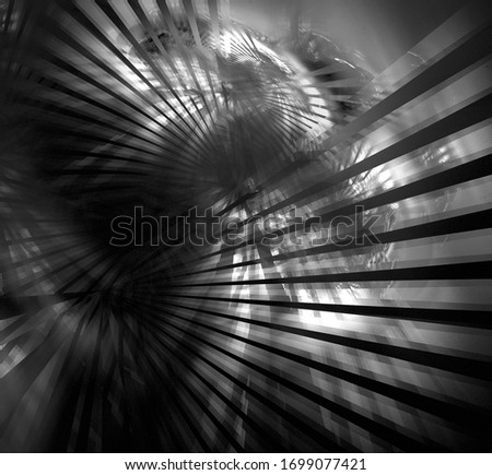Similar – Image, Stock Photo LALLA Girl Child