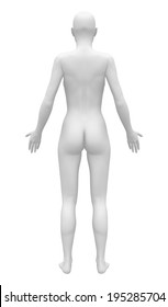 Blank Anatomy Female Figure - Back View