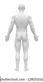 Blank Anatomy Figure - Back View