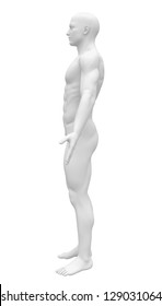 Blank Anatomy Figure - Side View