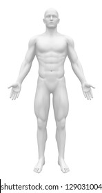 Blank Anatomy Figure - White Male Body Front view