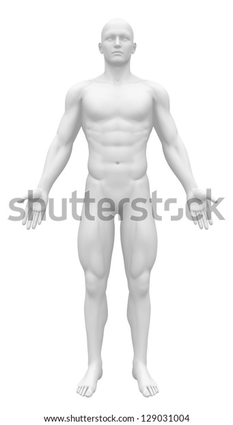 anatomy action figure