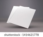 Blank Flyers, Leaflets. Hovering Sheets Of Papers. Two Cards Template. 3D render