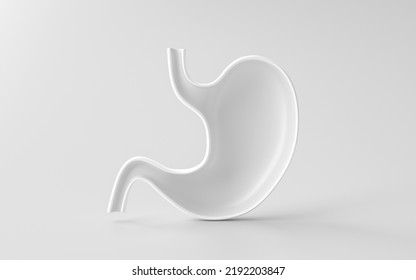 Blank Human Stomach 3d Isolated On White Digestion Anatomy Background With Organ Internal Health Body Digestive Biology System Or Medical Healthy Concept And Empty Esophagus Abdomen Gastric Object.