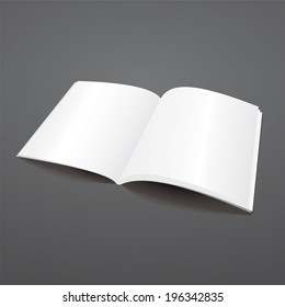 Blank Open Magazine Template Rasterized Version Stock Illustration