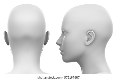 Blank White Female Head - Side And Back View