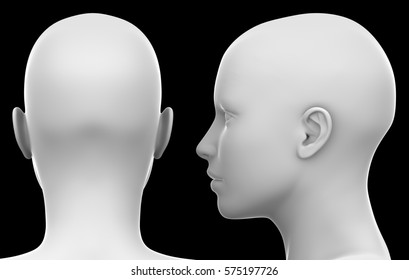 Female Head Side View Images Stock Photos Vectors Shutterstock