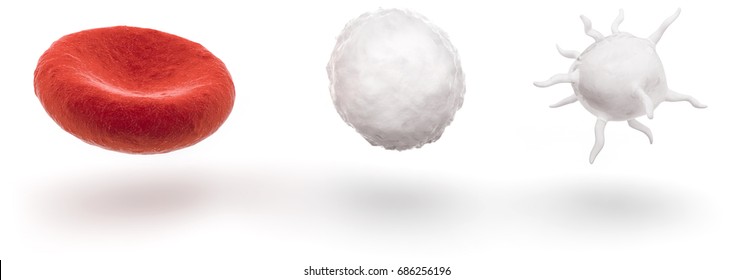 blood cells isolated on white background, 3D illustration