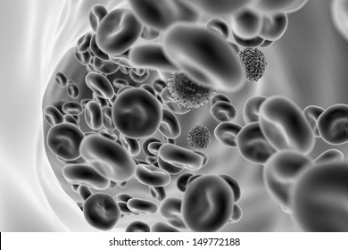 Blood Cells , SEM Of Red & White Blood Cells