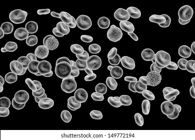 Blood Cells , SEM Of Red & White Blood Cells