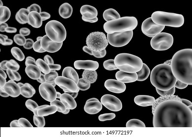 Blood Cells , SEM Of Red & White Blood Cells