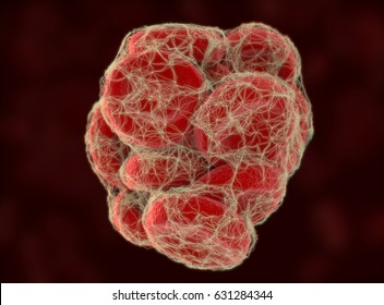 Blood Clot, Coagulation. 3D Illustration.