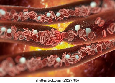 Blood Clot, Vein, Artery, Tunnel, Red Blood Cells, Internal Body, Blood Cell, Heart