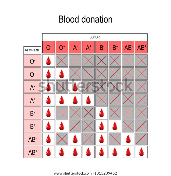 Blood Donation Chart Recipient Donor Types Stock Illustration ...