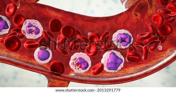Blood flow. 3D illustration\
showing different types of blood cells, erythrocytes, neutrophil,\
monocyte, basophil, eosinophil, lymphocyte, and\
platelets