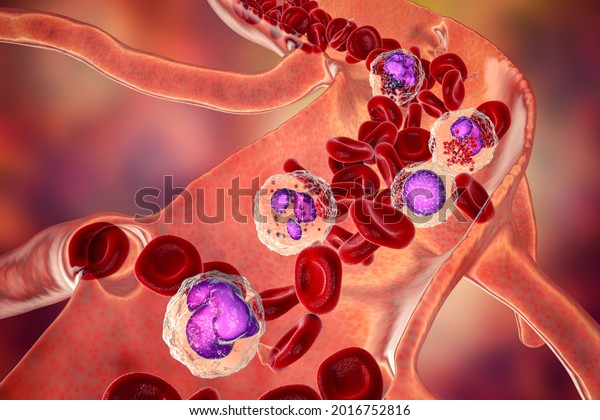 Blood flow. 3D illustration\
showing different types of blood cells, erythrocytes, monocyte,\
neutrophil, lymphocyte, eosinophil, basophil and\
platelets