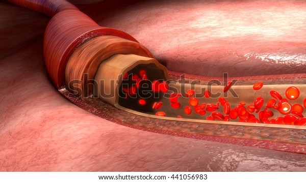 Blood flow in vessels 3d\
illustration
