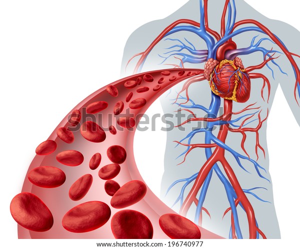 心臓循環健康のシンボルで ヒトの循環系から3次元の静脈に赤い細胞が流れ 心臓科や心臓血管の健康を示す医療アイコンとして使われます のイラスト素材