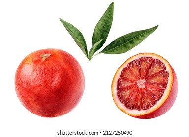 Blood orange whole cut and leaves watercolor illustration isolated on white background