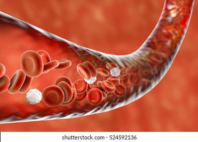 Blood Vessel With Flowing Blood Cells, 3D Illustration