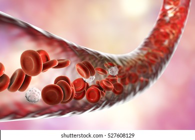 Blood Vessel With Flowing Blood Cells, 3D Illustration