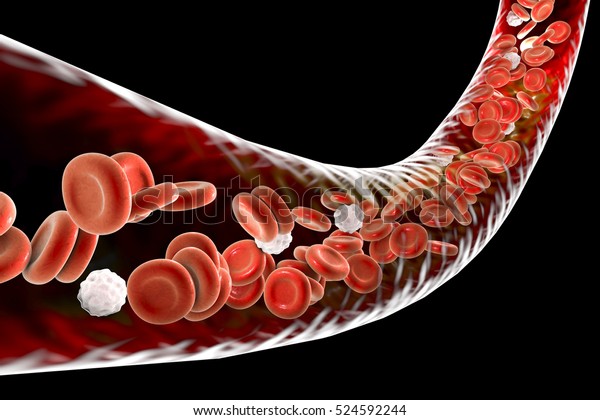 血球が流れる血管 3dイラスト のイラスト素材