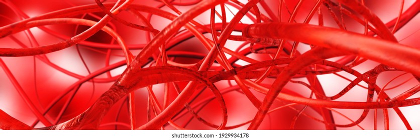 blood vessels, blood arteries, veins and arteries, circulatory system, abstraction , 3d rendering