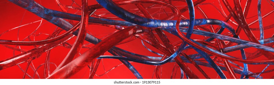 Blood Vessels, Circulatory System, Veins And Arteries, 3D Rendering