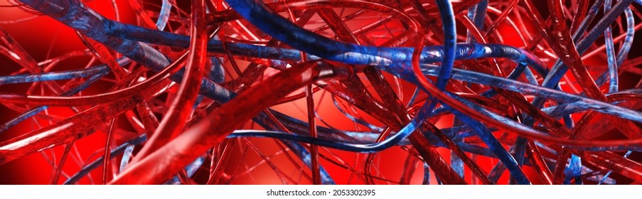 Blood vessels, circulatory system, veins and arteries, 3D rendering