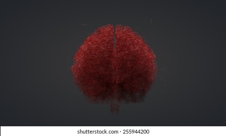 Blood Vessels Of A Human Brain - Artist Conception