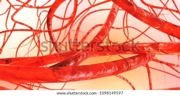 Blood Vessels Veins Arteries 3d Rendering Stock Illustration 1098149597