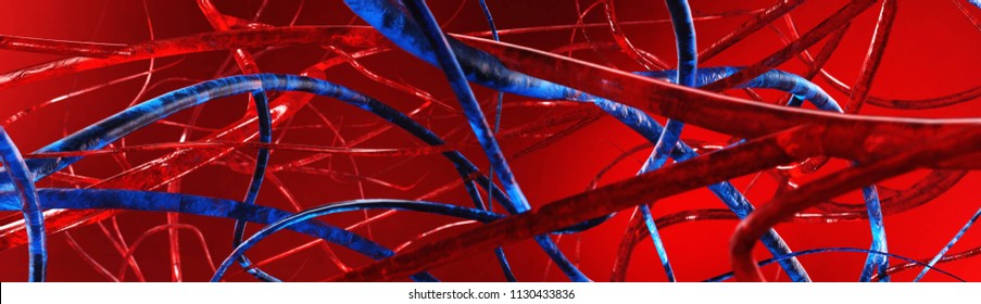 Blood Vessels. Veins And Arteries. Circulatory System. 3D Rendering