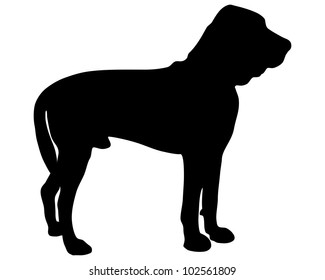 Bloodhound Silhouette