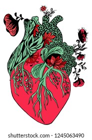 Blooming Anatomical Human Heart. Hand Drawn Illustration On White Background. Drawing Human Heart With Flowers And Leaves.